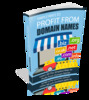 Thumbnail Simple Ways to Profit From Domain Names